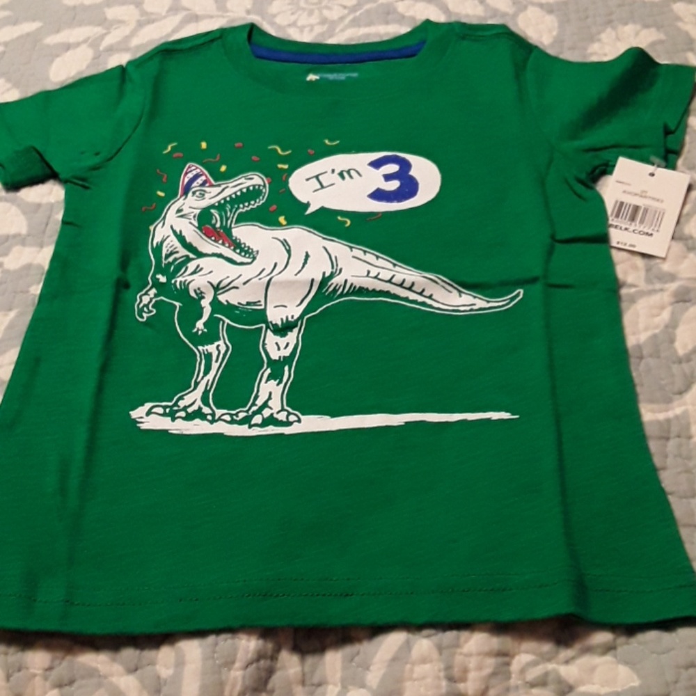 Nwt I'm 3 dinosaur tshirt